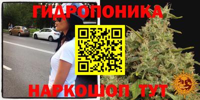 молекула духа Кохма