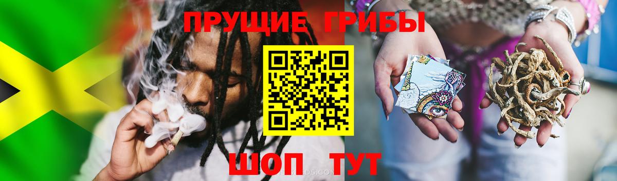 Муравленко  Галлюциногенные грибы прущие грибы  Вход с VPN 